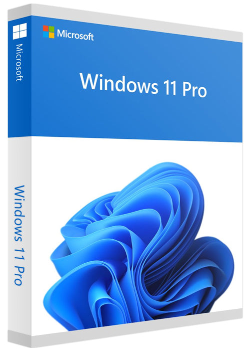 Windows 11 Professional Retail